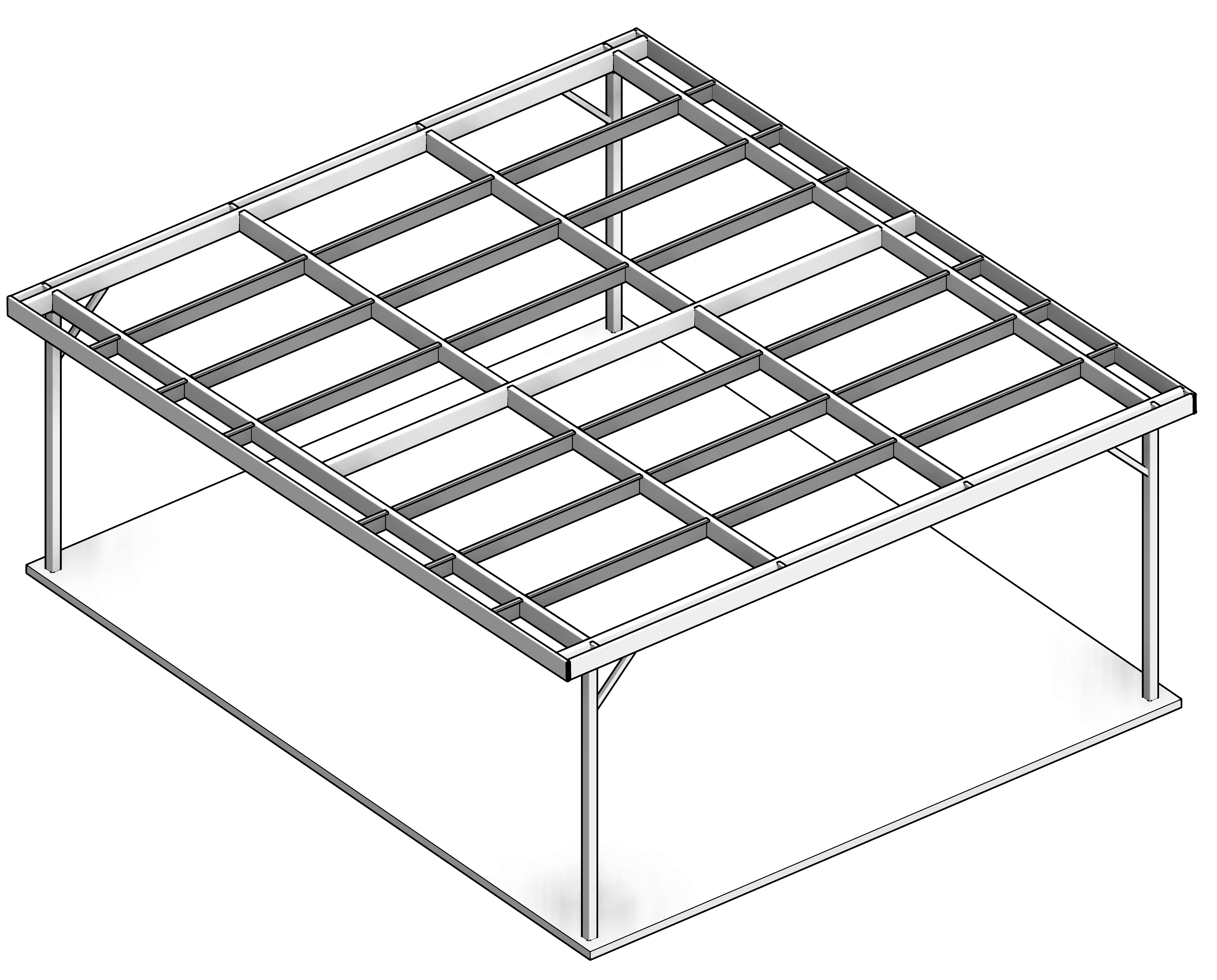 STR Model 001